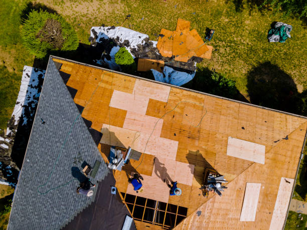 Best Storm Damage Roof Repair  in Marion, MT
