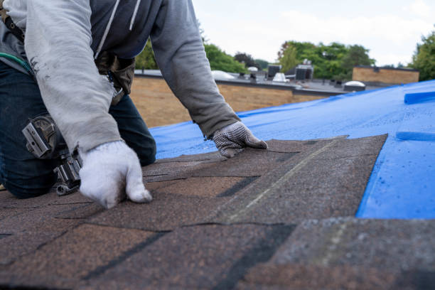 Best Sealant for Roof  in Marion, MT