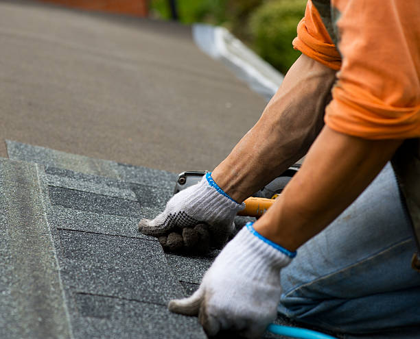 Best New Roof Installation  in Marion, MT